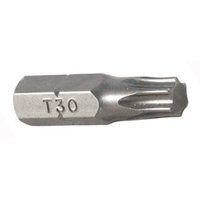 Antgalis TORX (10mm) Antgalis TORX (10mm)