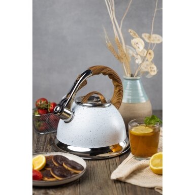 Arbatinukas su švilpuku 3,0l EB-8852