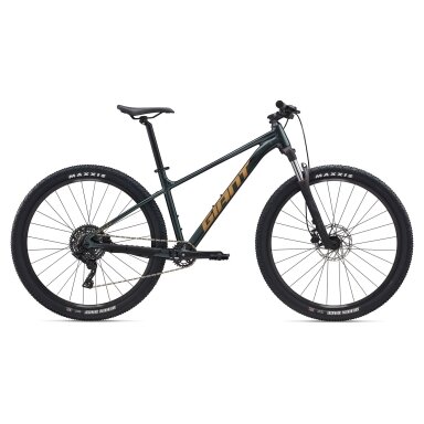 GIANT Talon 2 29" // 9G, dydis 15" (38 cm) (tamsiai žalia - Asphalt Green)