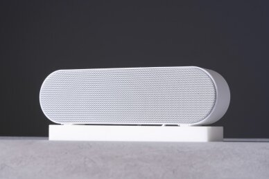 Kaip išsirinkti nešiojamą Bluetooth kolonėlę?