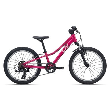 Liv Tempt 20 20" // 7G, dydis: 9" (23 cm) (rožinė)