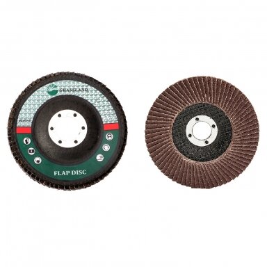 Metalo šlifavimo lapelinis diskas 125mm Nr.40/29 Metalo šlifavimo lapelinis diskas 125mm Nr.40/29