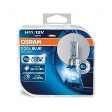 Osram lemputė COOL BLUE Intense, H11, 55W 64211CBI-HCB
