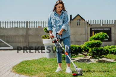 Trimeriai: Pavasarinės vejos priežiūros vadovas