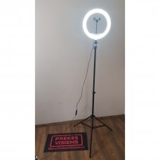 Žiedinė LED  lempa  MJ300