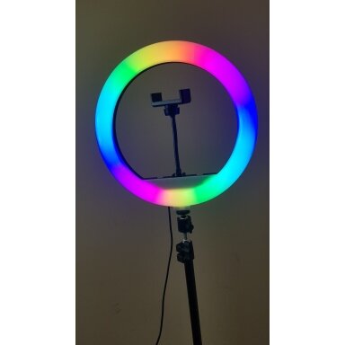 Žiedinis LED šviestuvas, MJ300