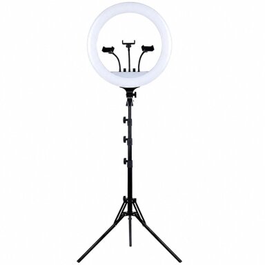 Žiedinė LED lempa SP-14