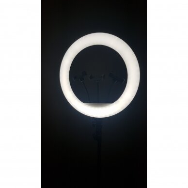 Žiedinė LED lempa YQ-460B 1