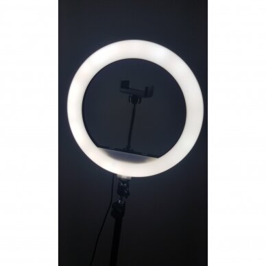 Žiedinė LED  lempa  MJ300 3