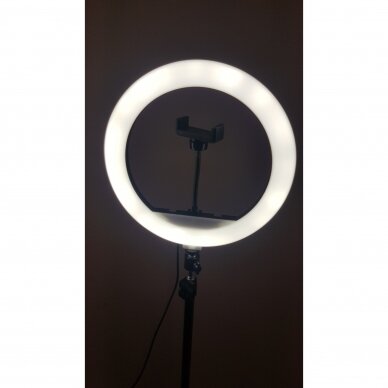Žiedinė LED  lempa  MJ300 4