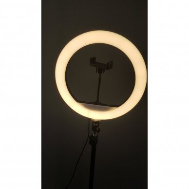 Žiedinė LED  lempa  MJ300 5